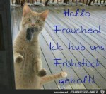 Hallo-Frauchen-.jpg auf www.funpot.net