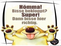 H�mma ! Bisse bekloppt ?