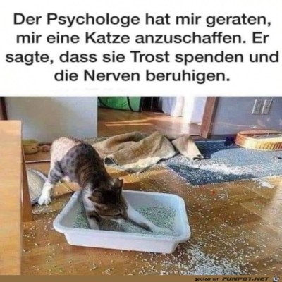 Eine-Katze-beruhigt-nicht-immer.jpg von Harald48