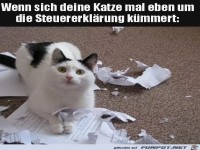 Katze hat die Sache erledigt
