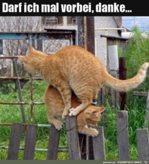 Kann-ich-mal-vorbei?.jpg auf www.funpot.net
