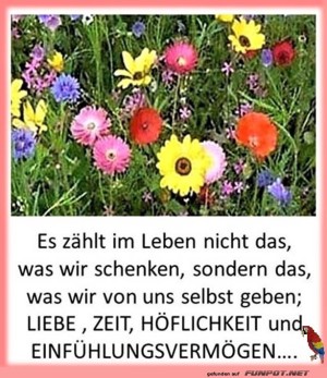 Es-zhlt-im-Leben.jpg auf www.funpot.net