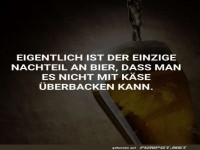 Nachteil an Bier