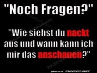 Humorvolle Frage-Antwort