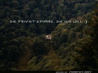 Einsamkeit mitten im Wald