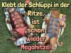 weiter