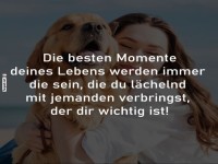 Ein Hund und Mensch: Das perfekte Duo!
