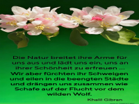 die natur breitet ihre arme fr uns aus