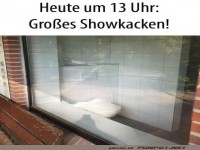 Einzigartiges Schaufenster-Event: WC-Show