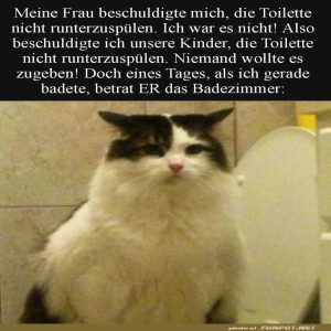 Die-Toilette-Katze-enttarnt!.jpg von Kurt1978