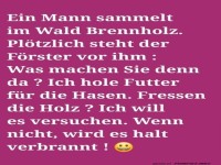 Hasen-Di�t: Holz oder Flamme?