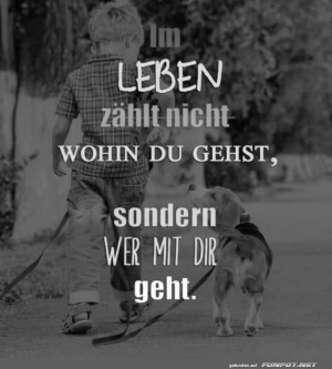 Spaziergang-des-Lebens-mit-Pfotenfreunden!.jpg auf www.funpot.net