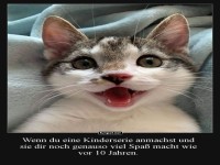 K�tzchen-Nostalgie: Die Comeback-Show!