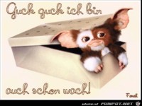 schon wach
