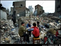 die haben die Ruhe weg 