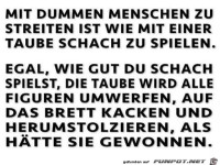 Schach mit einer Taube