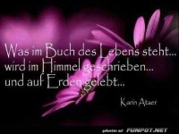 Was im Buch des Lebens steht