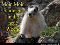 Starte gut in die neue Woche