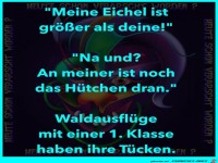 Waldausflug mit der 1. Klasse