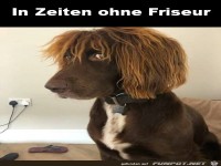 In Zeiten ohne Friseur