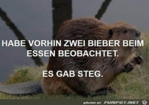 Bieber-beim-Essen.jpg auf www.funpot.net