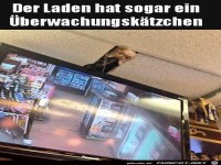 Tierische �berwachungskamera