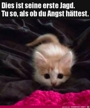 Die-erste-Jagd.jpg auf www.funpot.net