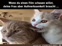 Die Frau will Aufmerksamkeit