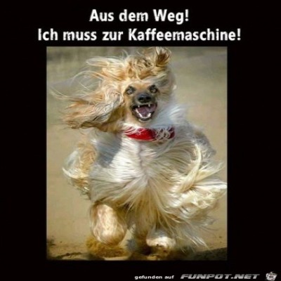 Aus-dem-Weg.jpg von Marisa