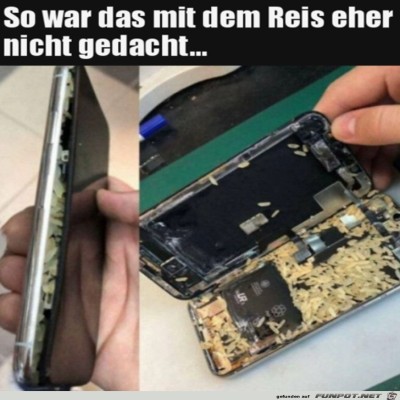 Die-Sache-mit-dem-Reis.jpg von Brenda