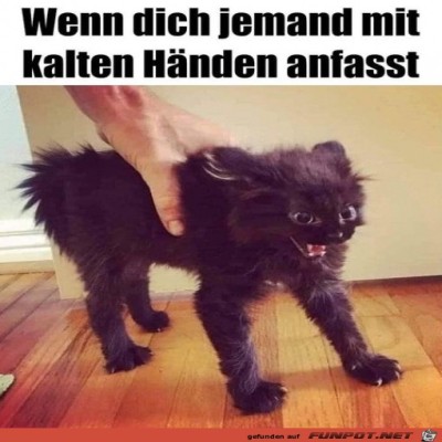 Kalte-H&auml;nde.jpg von Pina