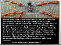 Wenn du hundert schwarze Ameisen
