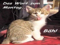 Wort zum Montag