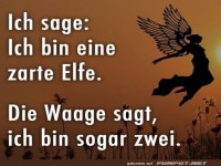 Eine zarte Elfe