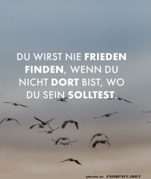 Frieden-finden.jpg auf www.funpot.net