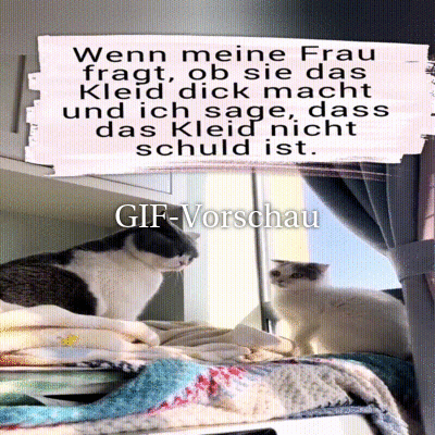 Handgemenge.gif von Celina93