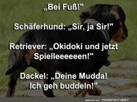Komischer Hundedialog