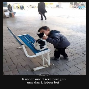 Kind-streichelt-Katze-liebevoll.jpg von Lotusbluete