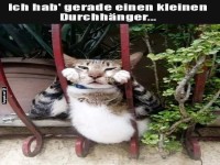 Wenn der Alltag dich festhlt!