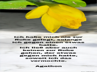 ich habe mich nie zur ruhe gelegt