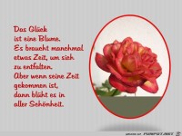 Das Glueck ist eine Blume