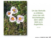 um das Wertvolle zu erblicken