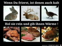 Das ist wahre Tierliebe