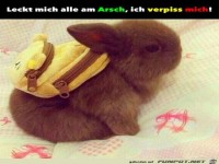 Ich hab die Schnauze voll