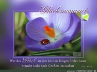 Gluecksmomente