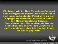 Ein Mann will im Bus f�r seinen Papagei kein Fahrgeld...