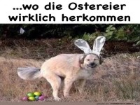 Jetzt wissen wir das auch