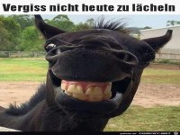 Vergiss nicht heute zu l�cheln