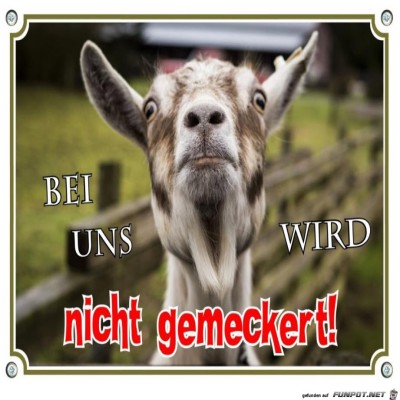 Hier-wird-nicht-gemeckert.jpg von SauLustig