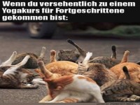 Falsche Gruppe erwischt